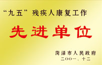 九五殘疾人康復(fù)工作先進(jìn)單位